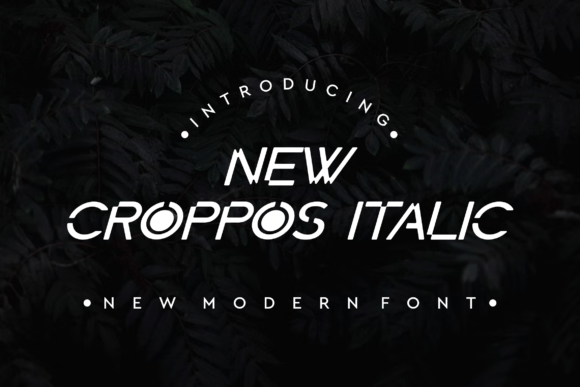 New Croppos Italic: A Modern Display Font for Web Design