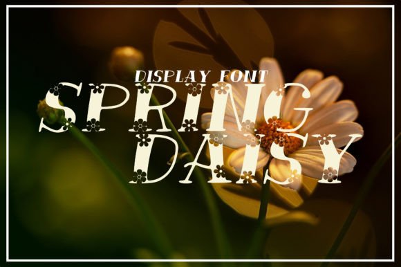 Spring Daisy: A Font That Elevates Your Brand